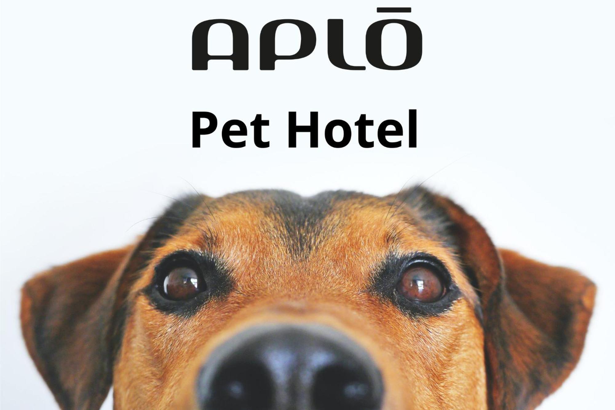 Hotel Aplo - Breakfast Experience Τσέρβια Εξωτερικό φωτογραφία