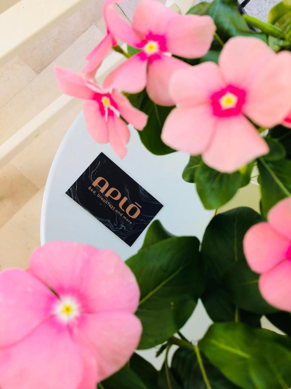 Hotel Aplo - Breakfast Experience Τσέρβια Εξωτερικό φωτογραφία