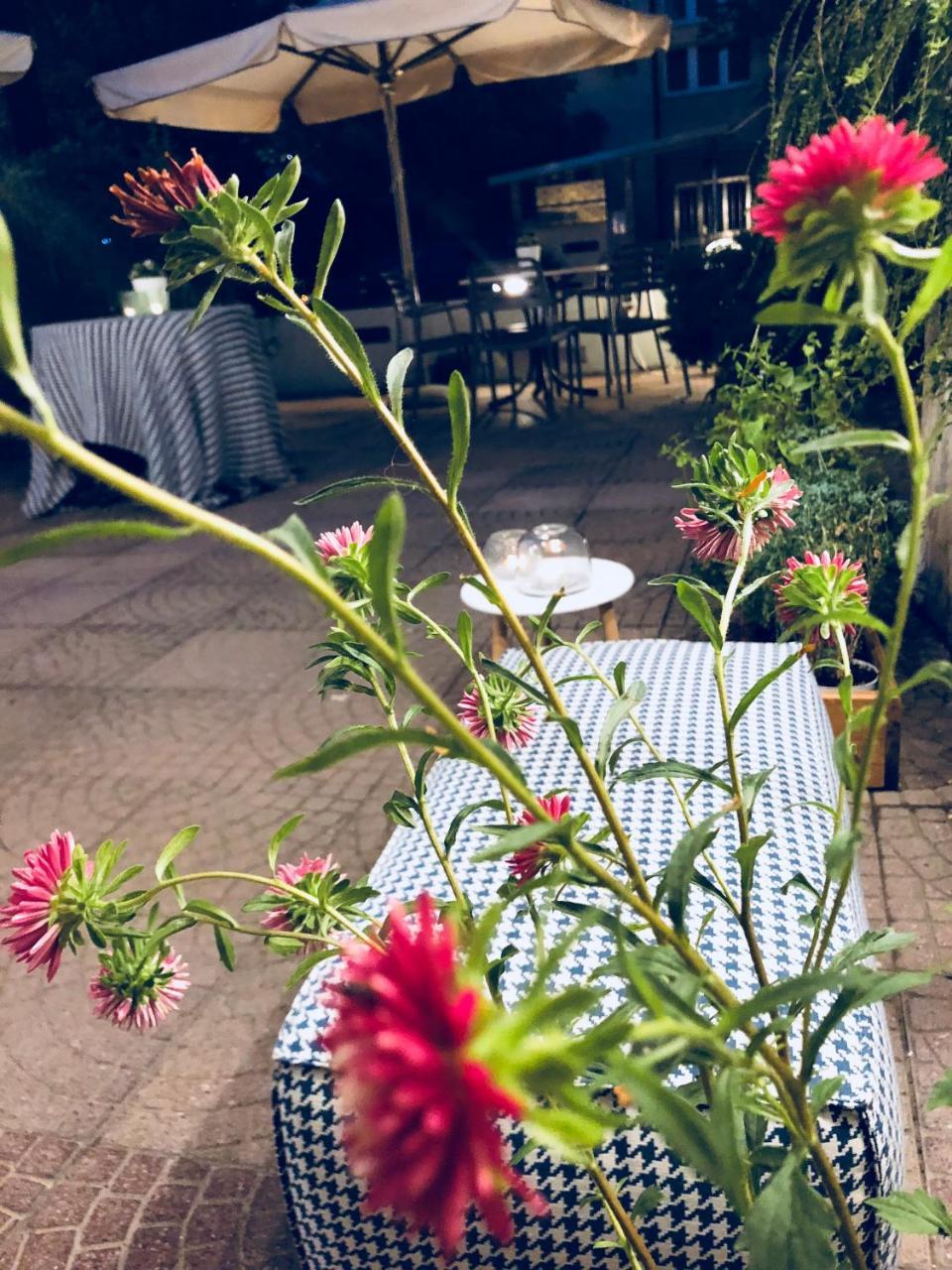 Hotel Aplo - Breakfast Experience Τσέρβια Εξωτερικό φωτογραφία